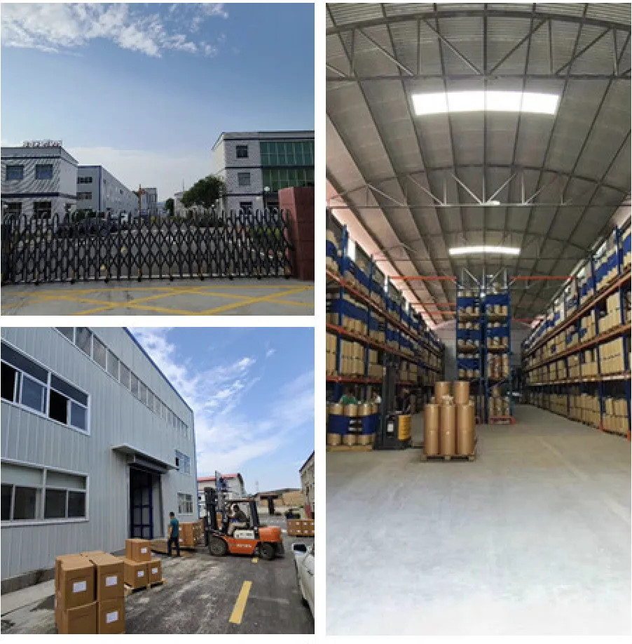 Installations de Tonutra