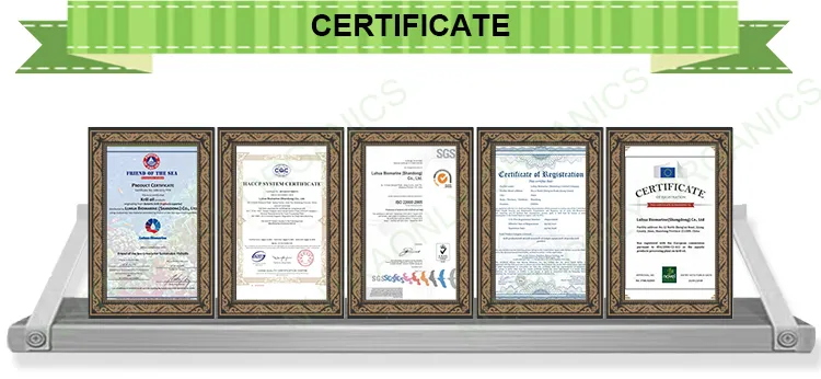 Certifications de qualité Tonutra - ISO, HACCP