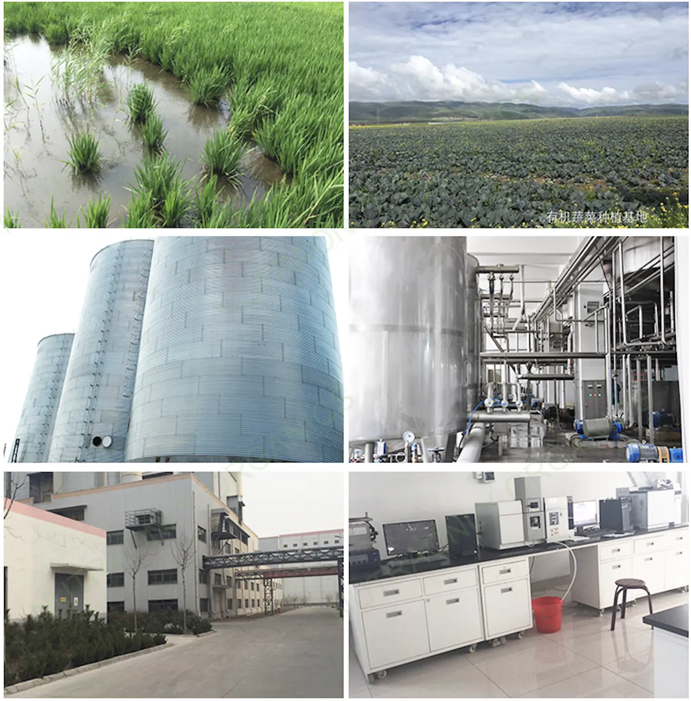 Du champ au laboratoire