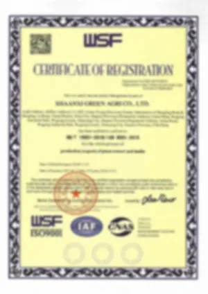 Certificate 5