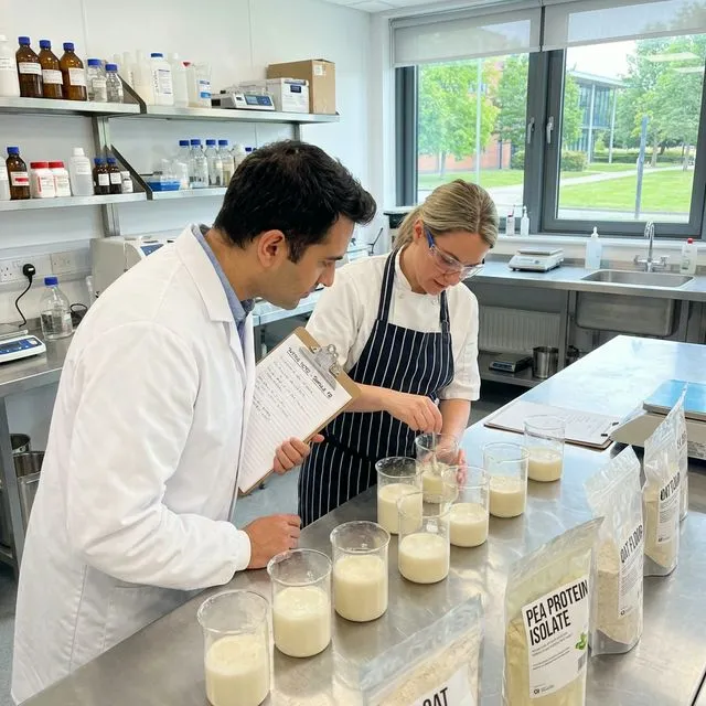 La Guía del Formulador para Proteínas Vegetales: Resolviendo Solubilidad y Textura